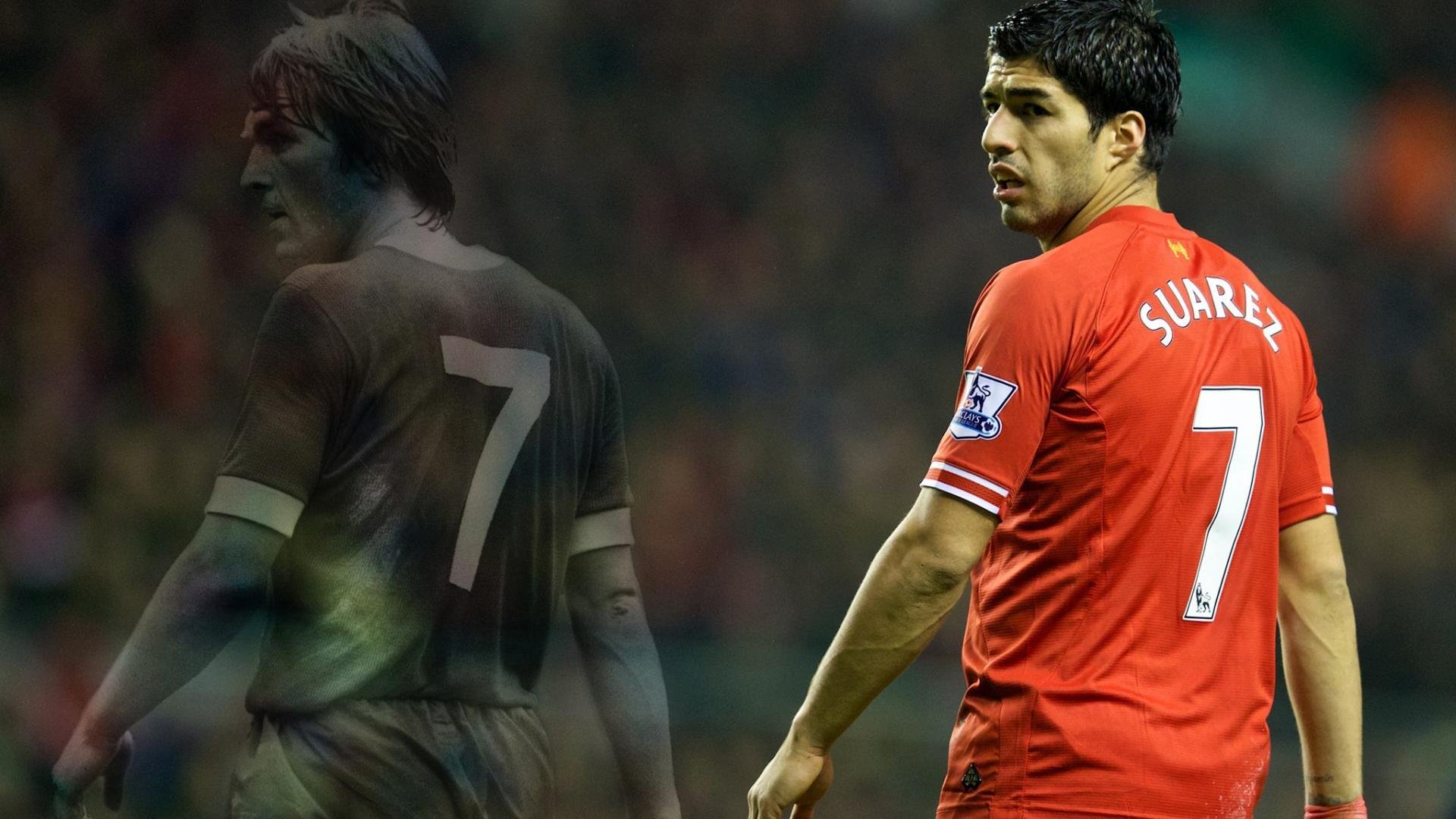 南非羚羊队：防线稳固，反击迅猛，每一场比赛都令人期待，北非大羚羊